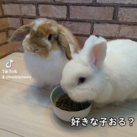 画像257