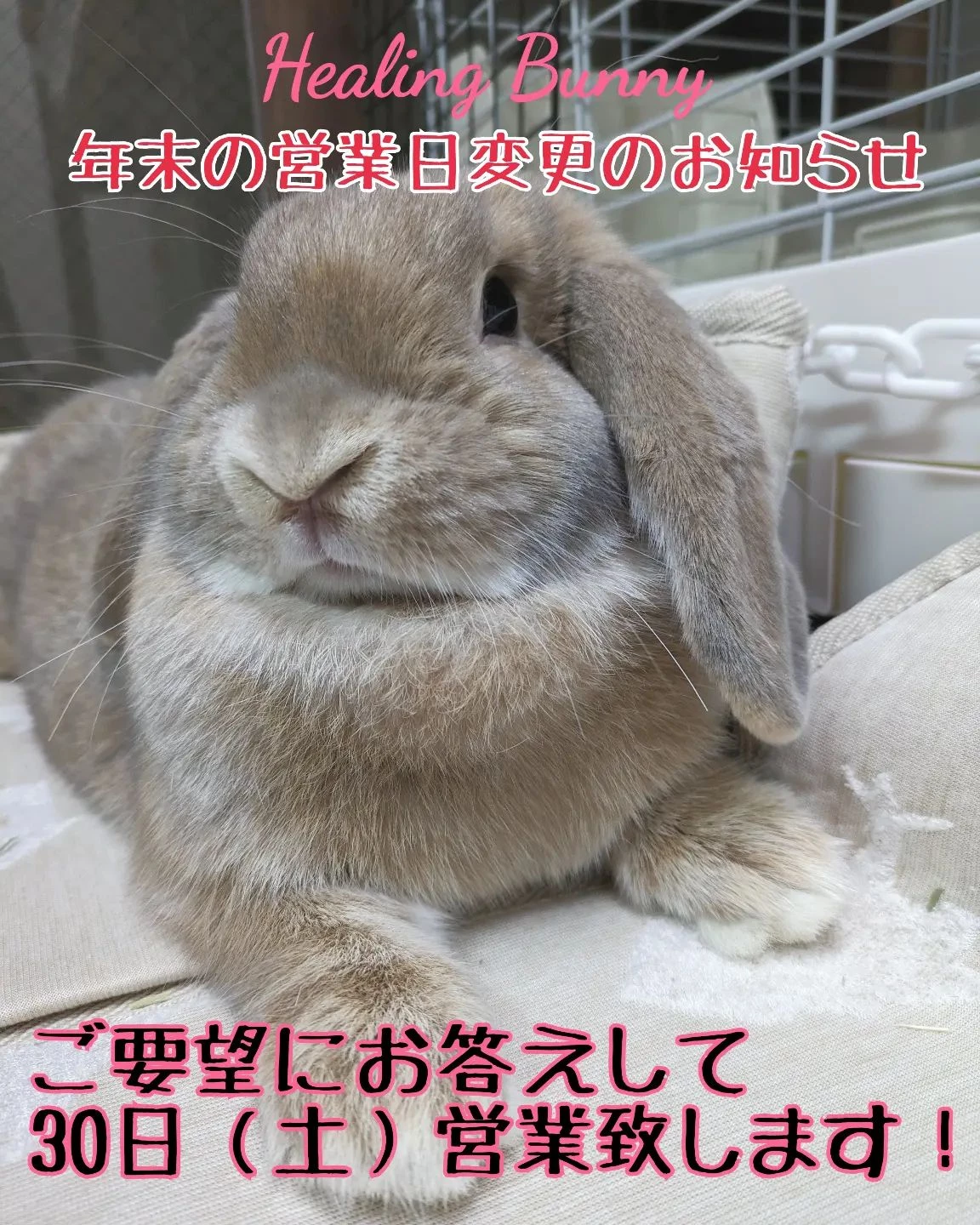 画像267
