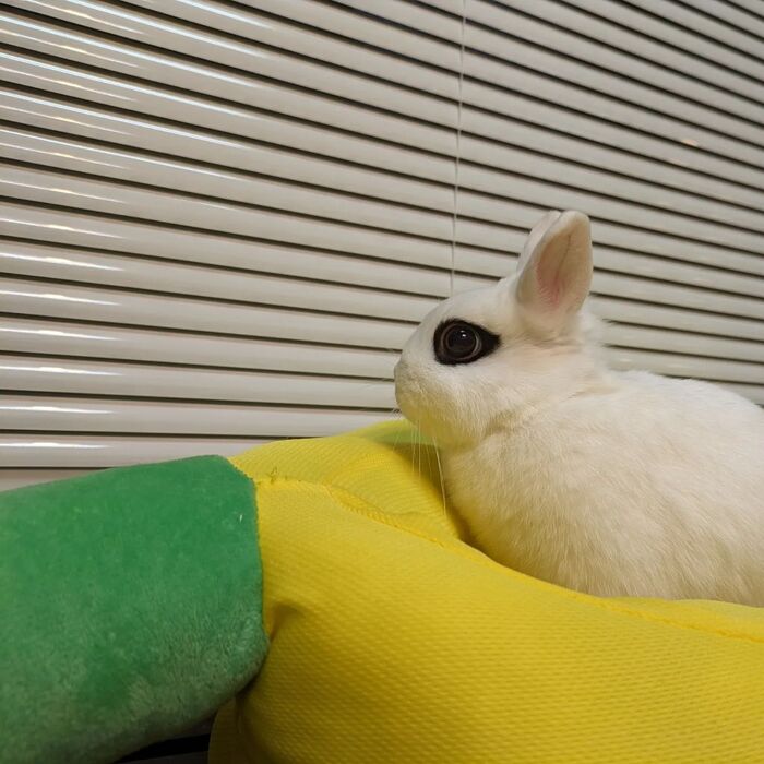 画像271