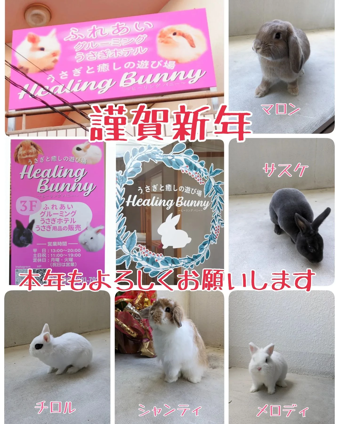 画像276