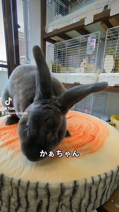画像282