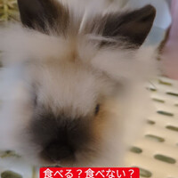 画像322