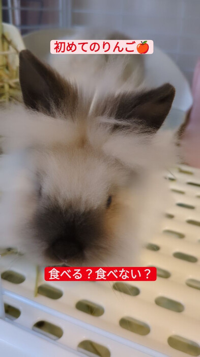 画像322