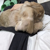 画像343