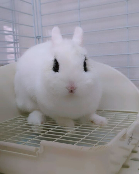 画像386