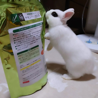 画像402