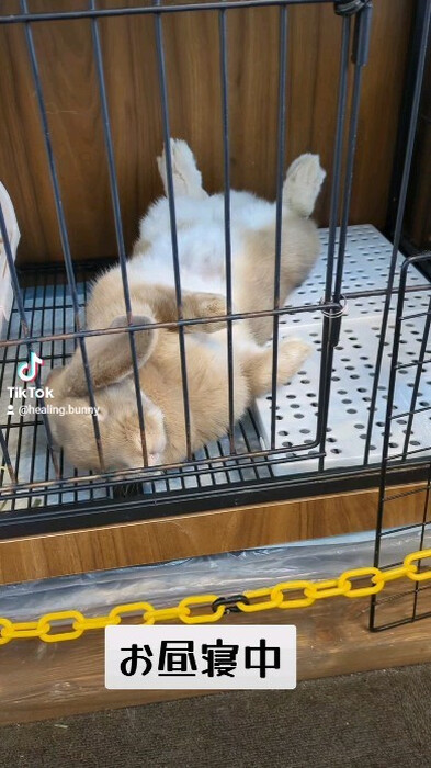 画像404