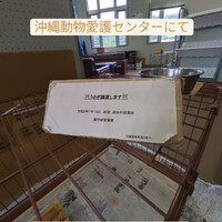 画像414