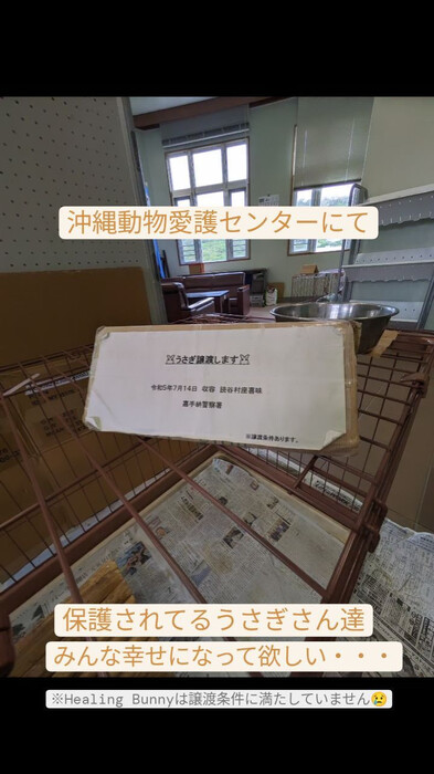 画像414