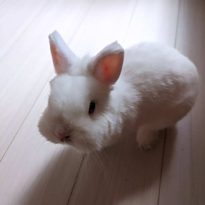 画像427
