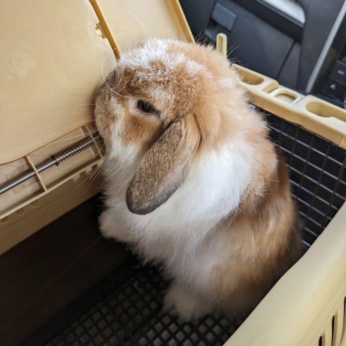 画像444
