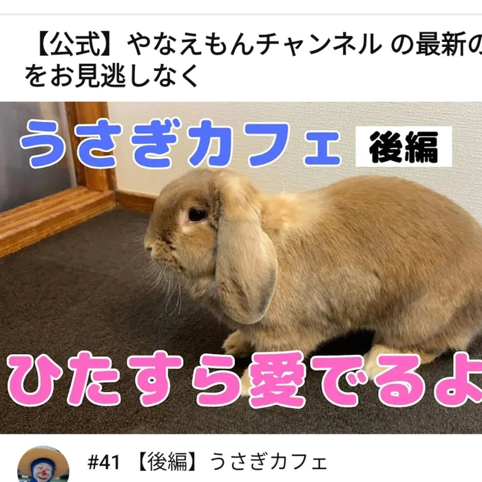 画像451
