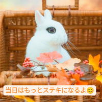 画像468