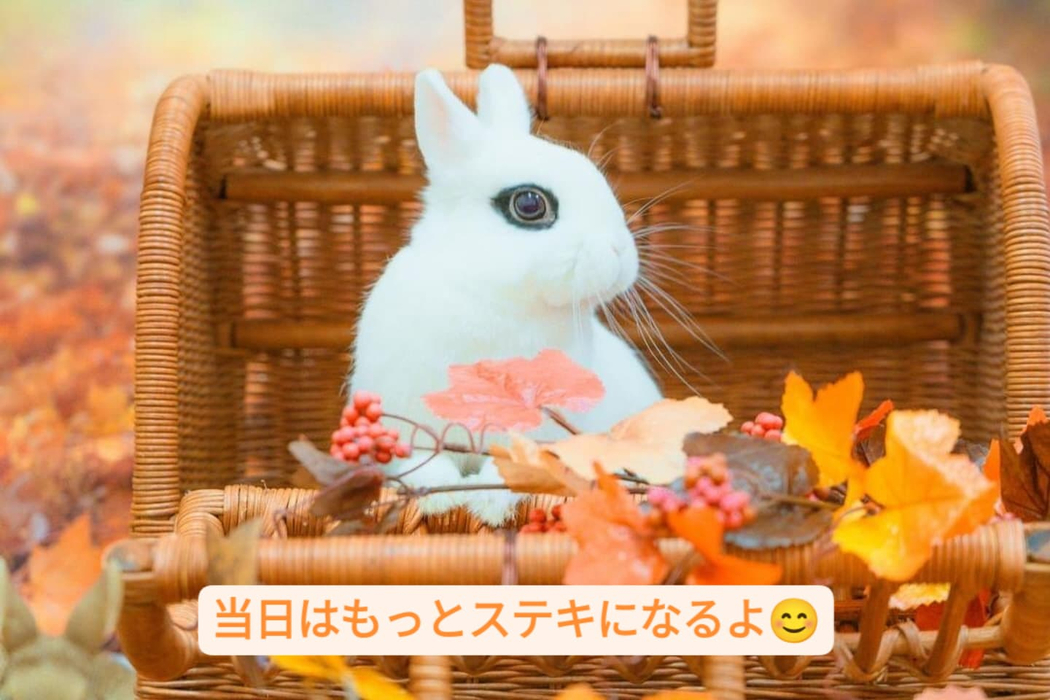 画像468