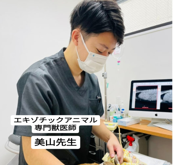 画像470
