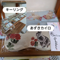 画像477