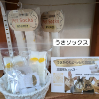 画像480