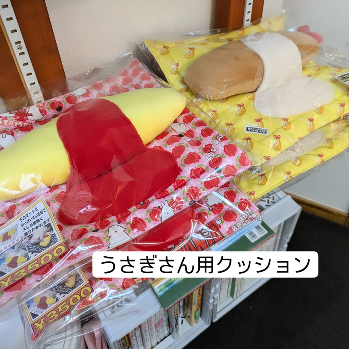 画像481