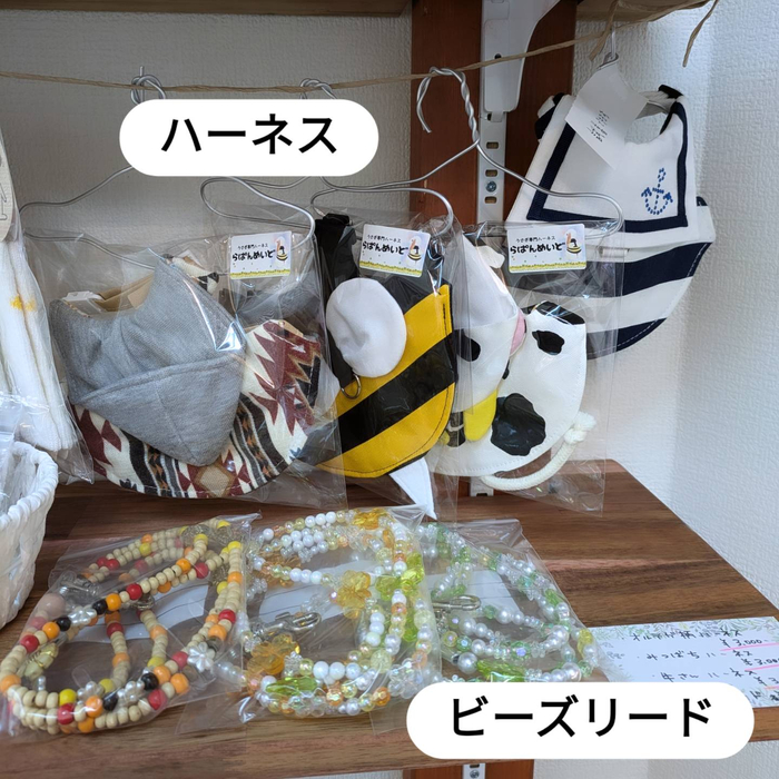 画像483