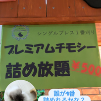 画像485