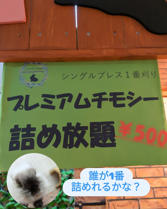 画像485