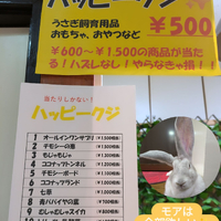 画像486