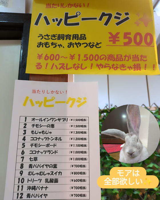 画像486