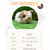 画像489