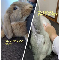 画像491