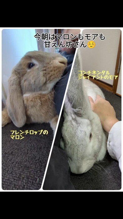 画像491