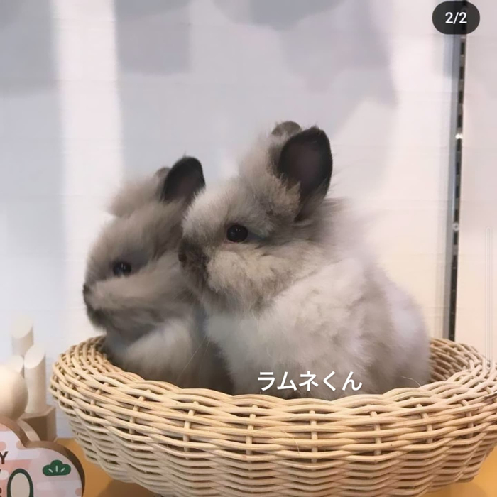 画像504