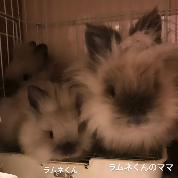 画像505
