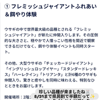 画像615