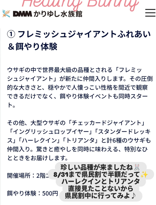 画像615